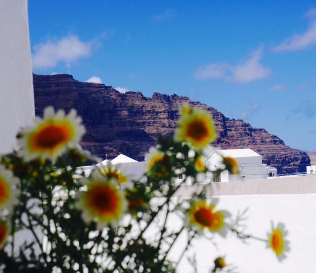 Casa Suso & Casa Margarita Daire Orzola Dış mekan fotoğraf